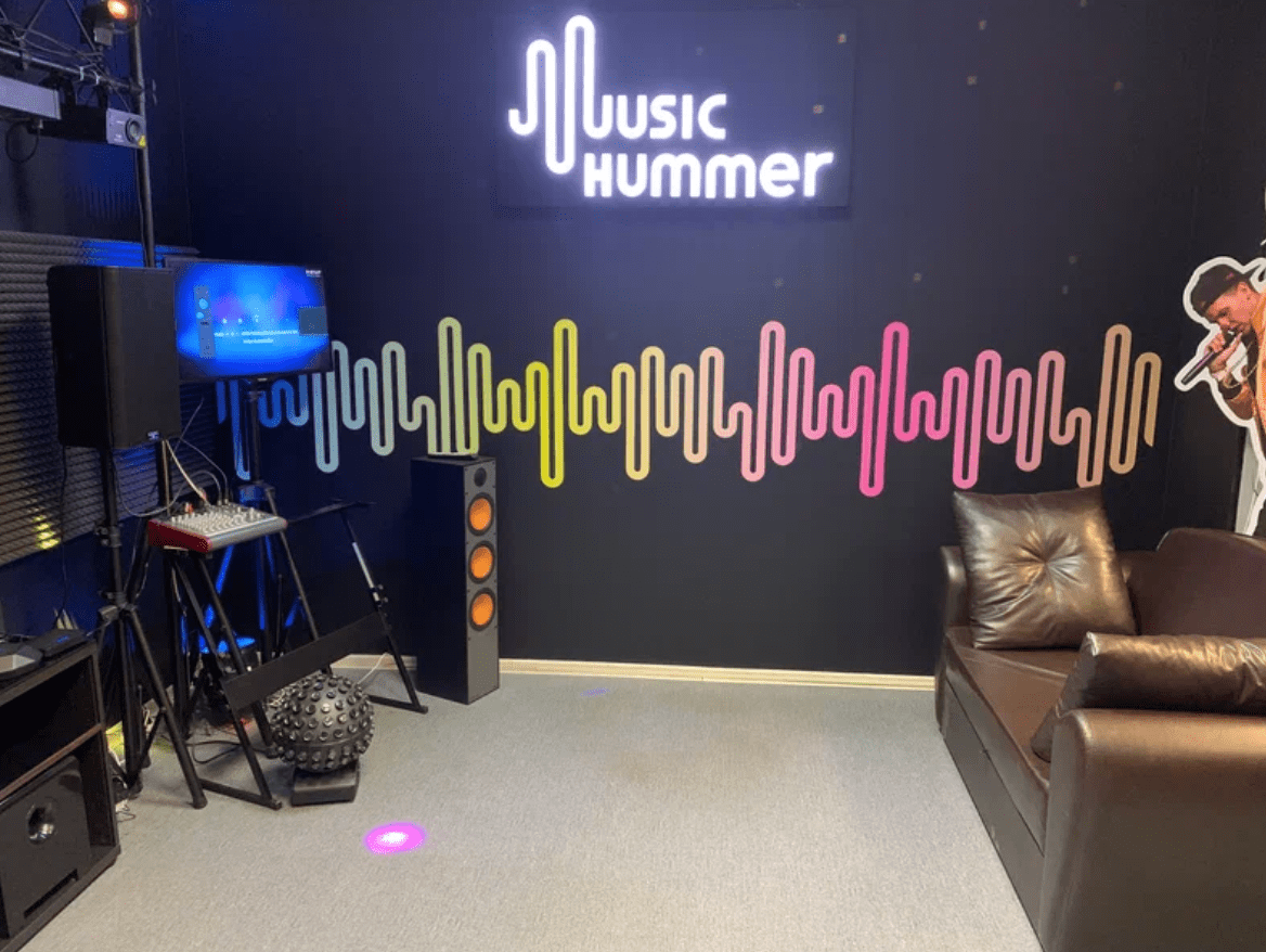 Продвижение магазина музыкальных инструментов Music Hummer - SEO кейс